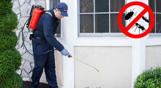 Yeşilhisar Gümüşkurt İlaçlama böcek ilaçlama ve haşere kontrolü — ilaclama-tr.com
